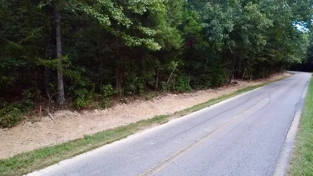 a view of a street with a trees