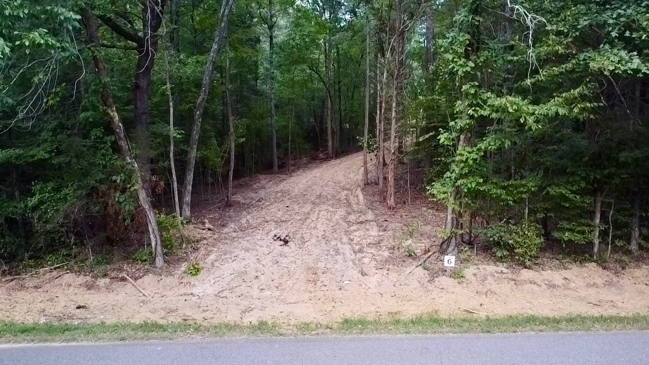 6 Sales Landing Road Camden, TN 38320 - Photo 32 of 39 a view of a forest filled with trees