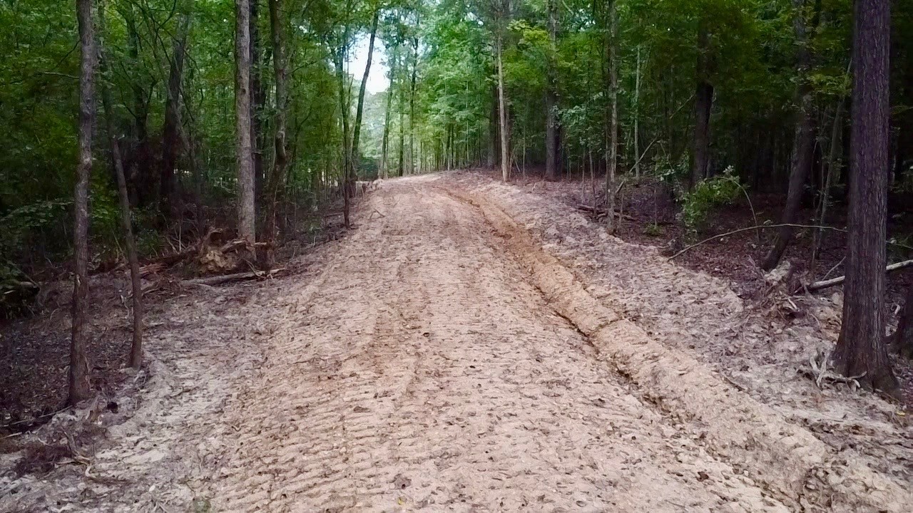 6 Sales Landing Road Camden, TN 38320 - Photo 33 of 39 a view of backyard with green space and trees