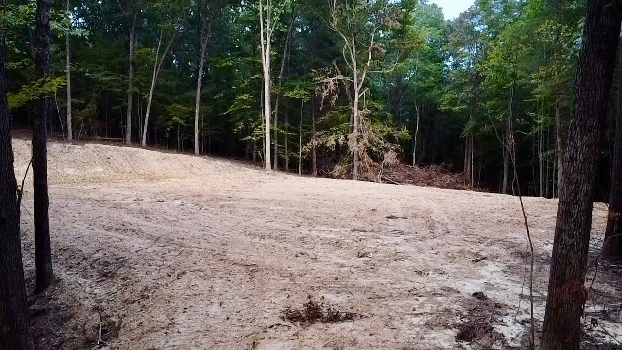 6 Sales Landing Road Camden, TN 38320 - Photo 35 of 39 a covered with trees in the background