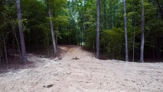 an aerial view of a forest with houses