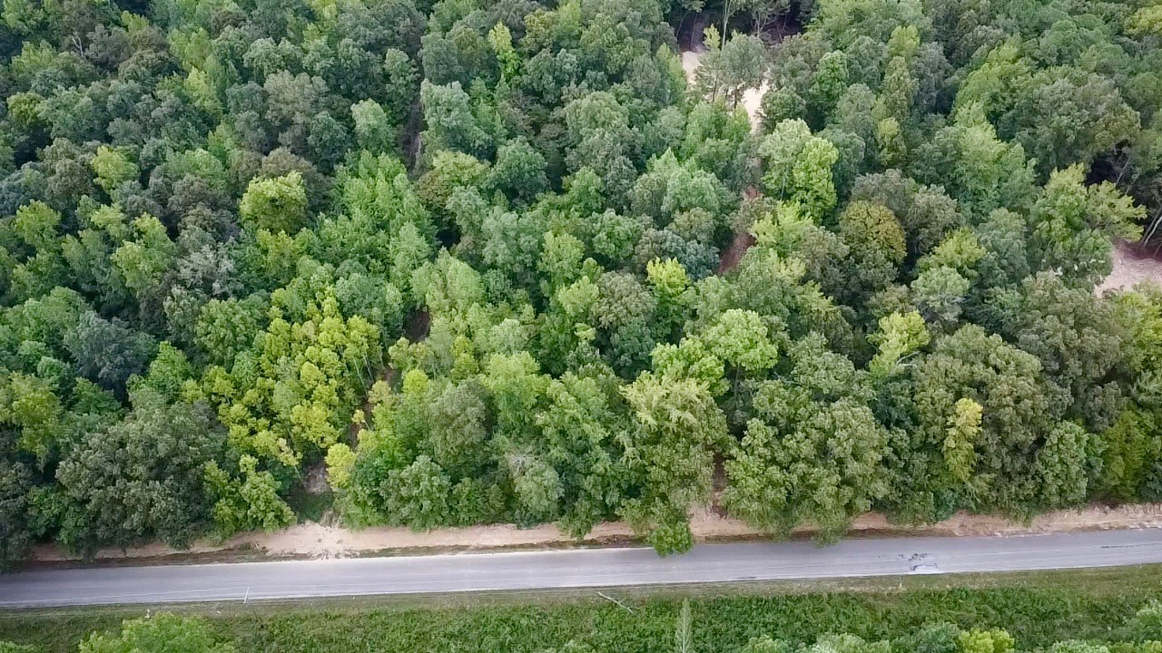 6 Sales Landing Road Camden, TN 38320 - Photo 39 of 39