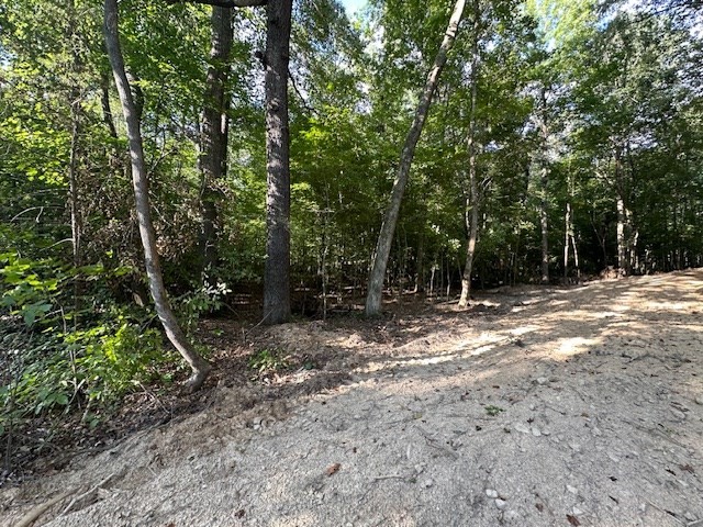 6 Sales Landing Road Camden, TN 38320 - Photo 4 of 39 a backyard of a house with lots of green space