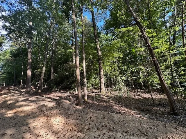 a view of outdoor space with trees