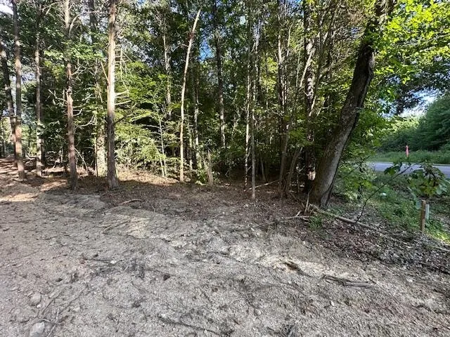 a view of outdoor space and yard