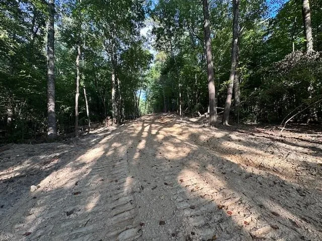 a view of empty field with trees in the background