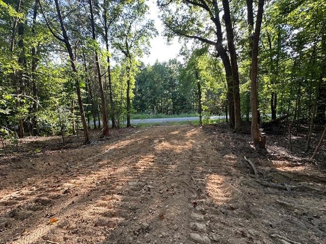 6 Sales Landing Road Camden, TN 38320 - Photo 10 of 39 a view of a forest with trees in the background