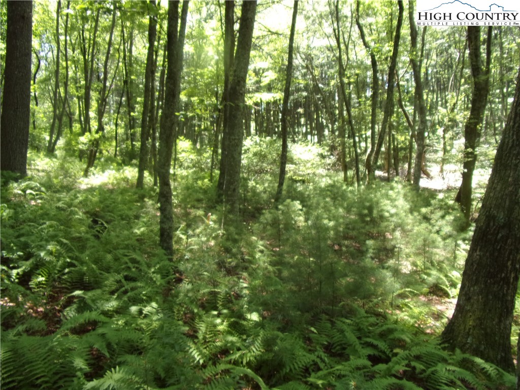 Tbd Lot# 1 Tbd Road Jefferson, NC 28640 - Photo 2 of 10 Gallery Image 2