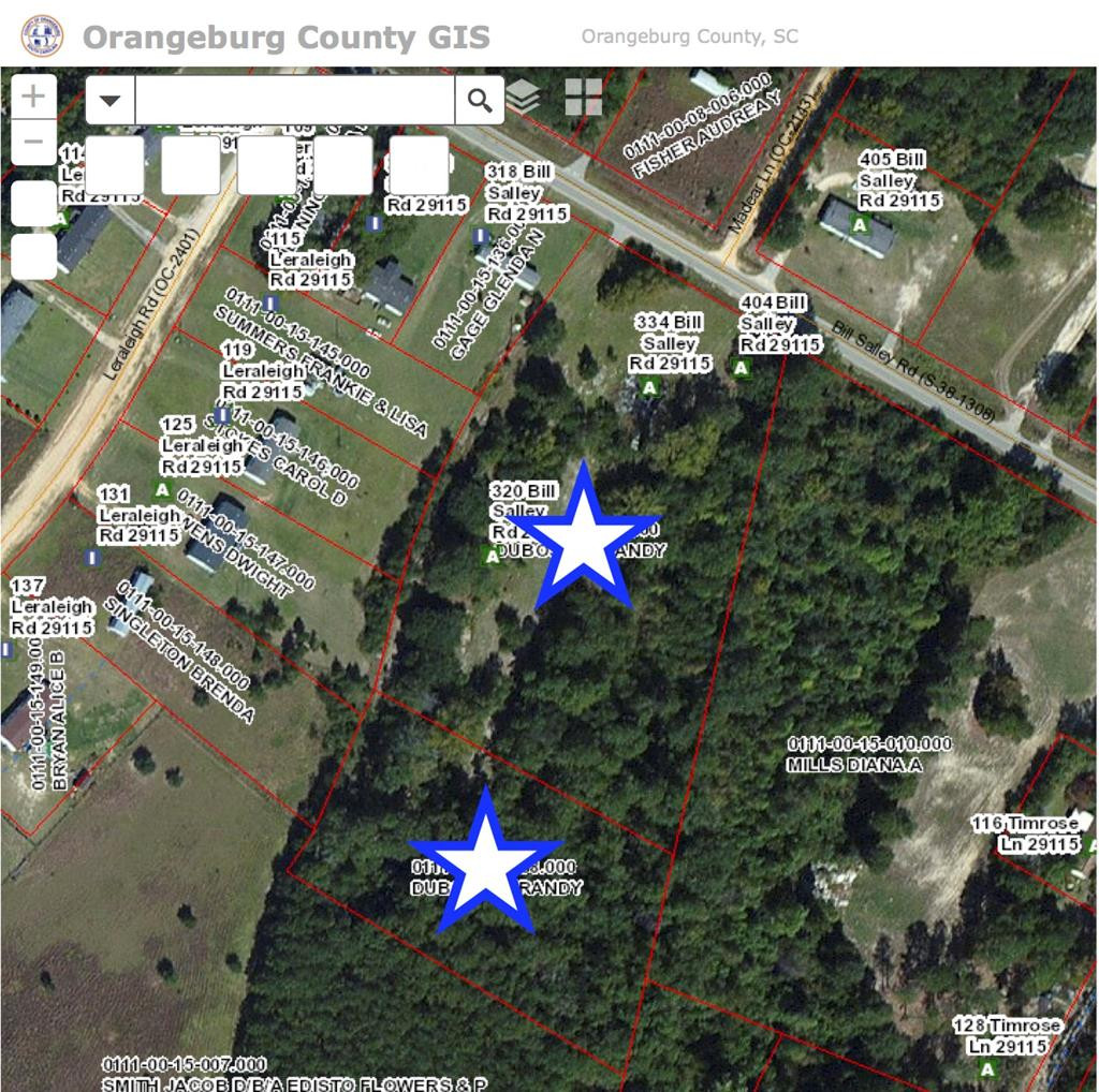 320 Bill Salley Road Orangeburg, SC 29115 - Photo 1 of 1 Main View