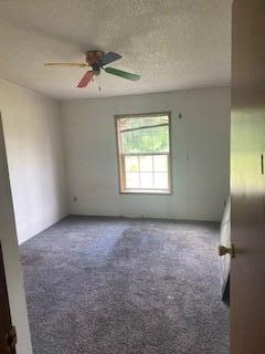 16054 Three Oaks Road Three Oaks, MI 49128 - Photo 10 of 17 10
