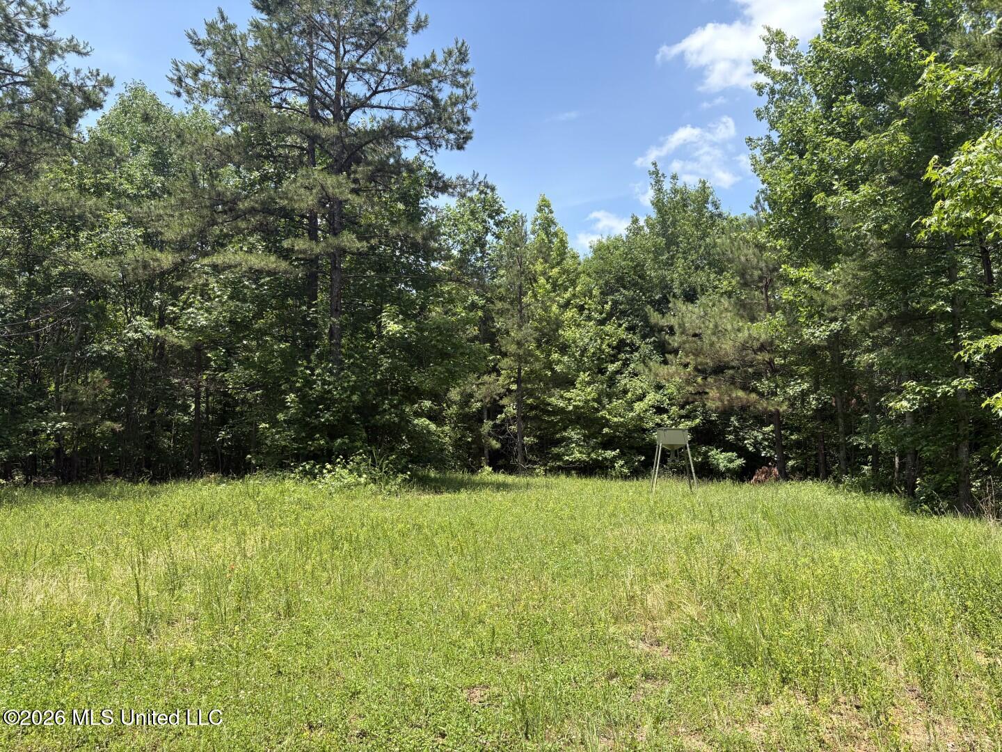 180 County Road New Albany, MS 38652 - Photo 14 of 61 Photo Jun 02 2026, 12 27 18 PM (Large)