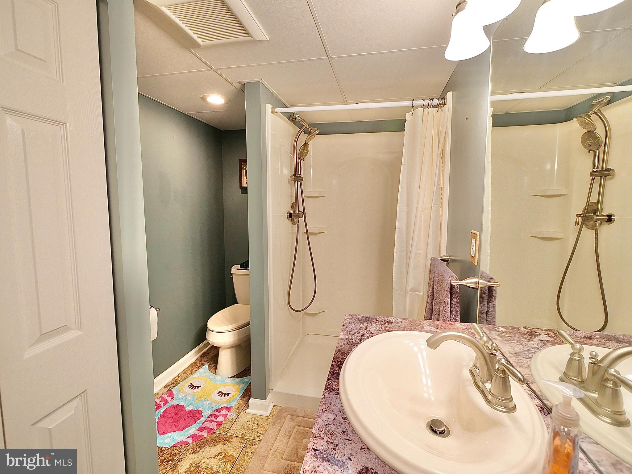 27 Willow Road Wallingford, PA 19086 - Photo 24 of 33 Basement - Full Bathroom #2