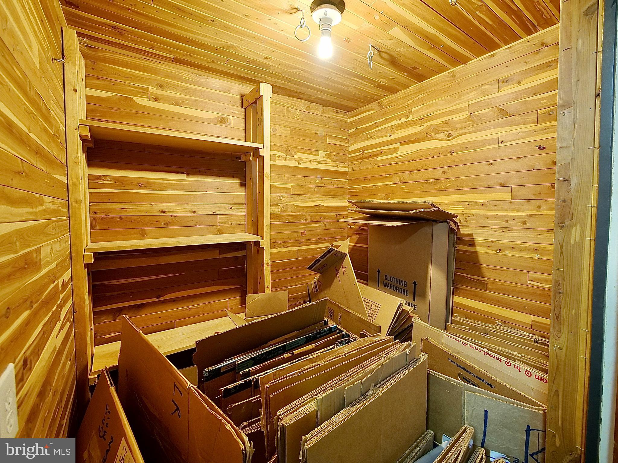 27 Willow Road Wallingford, PA 19086 - Photo 26 of 33 Basement - CEDAR Closet