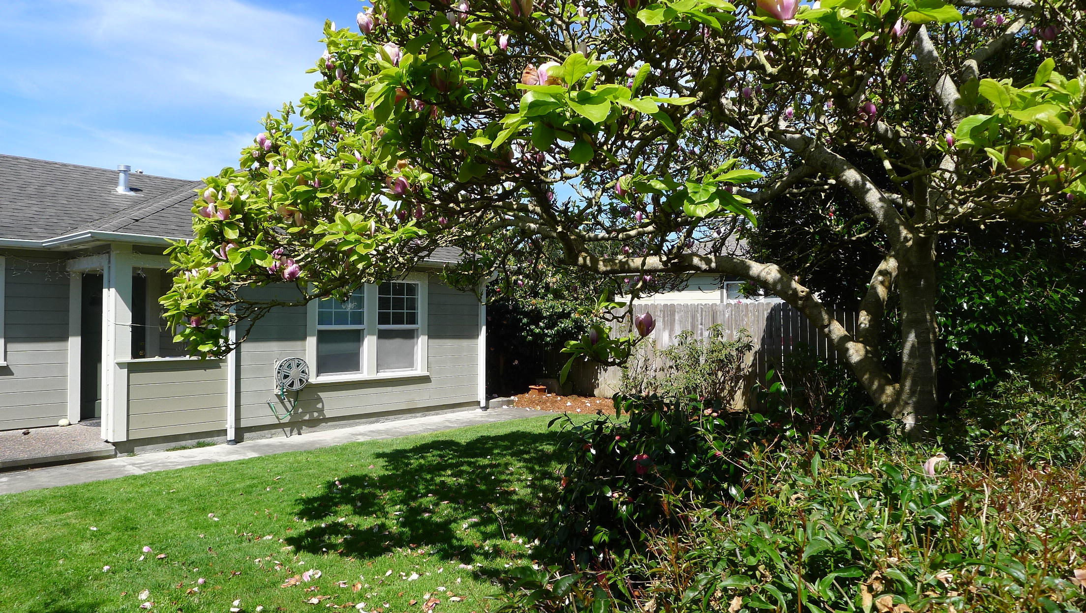 619 G Street Arcata, CA 95521 - Photo 4 of 15