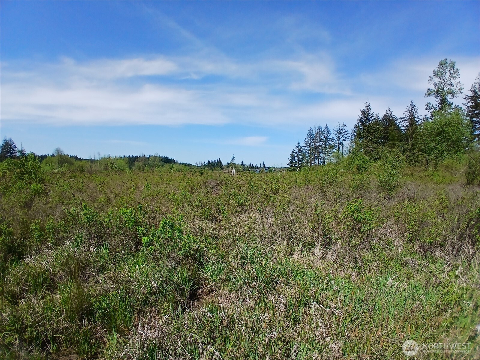 456 Meier Road Winlock, WA 98596 - Photo 3 of 9