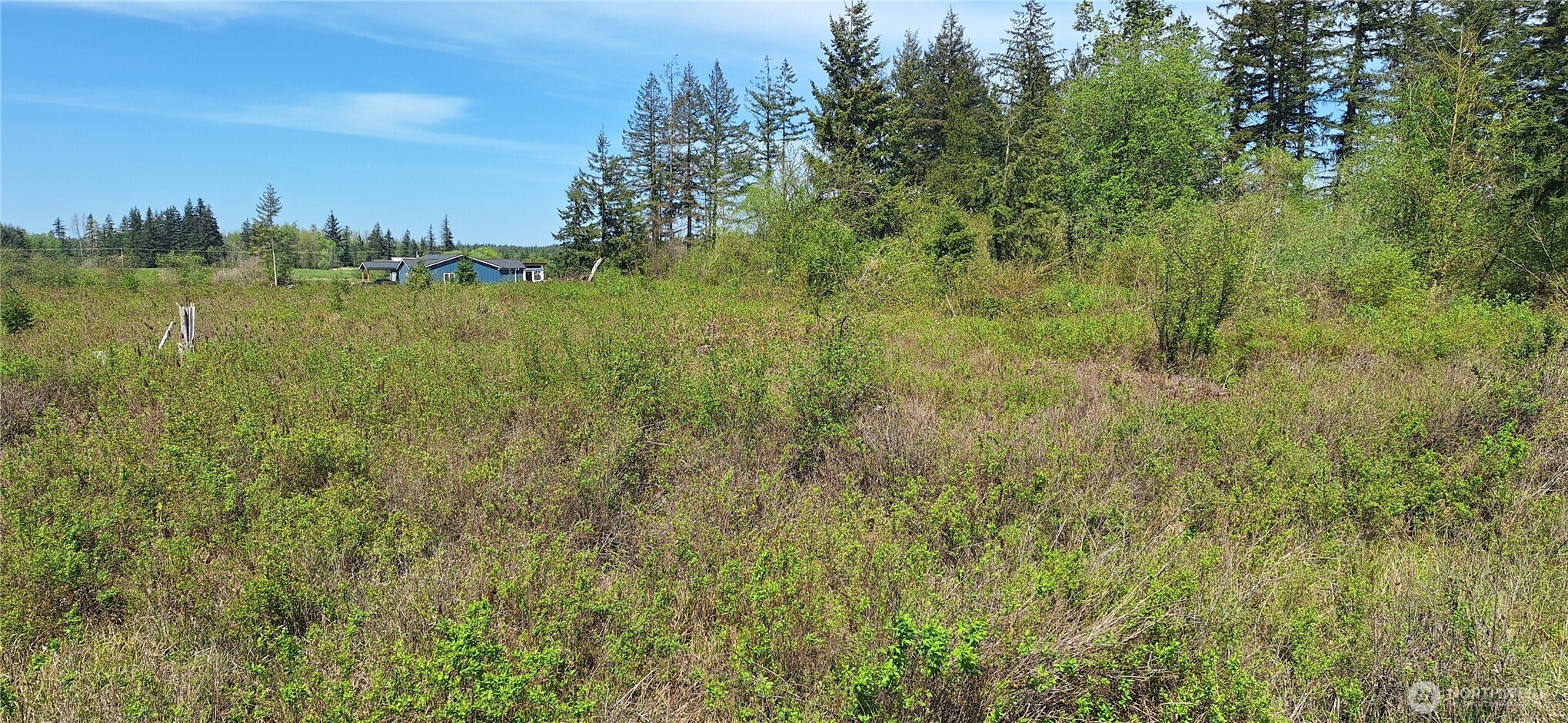 456 Meier Road Winlock, WA 98596 - Photo 5 of 9