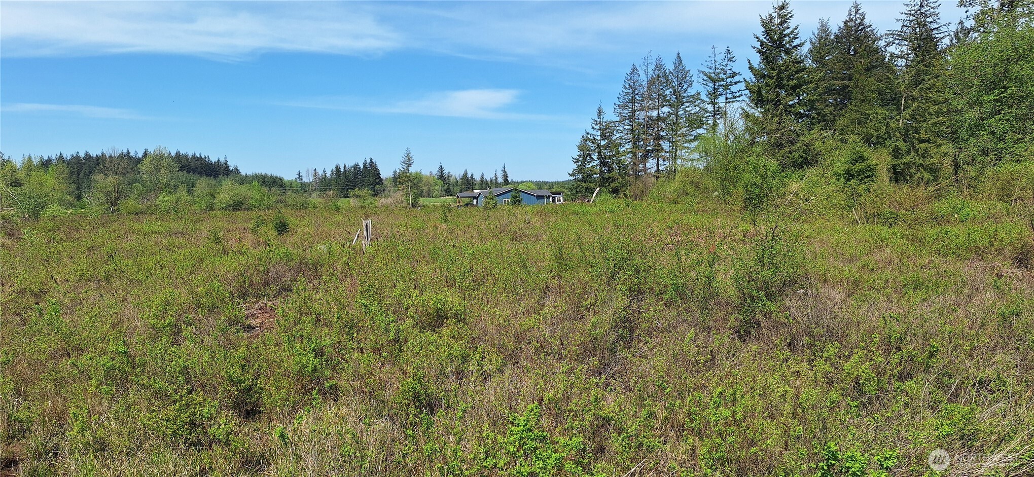 456 Meier Road Winlock, WA 98596 - Photo 7 of 9