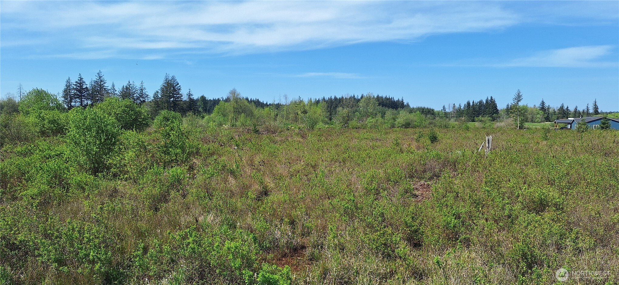 456 Meier Road Winlock, WA 98596 - Photo 8 of 9