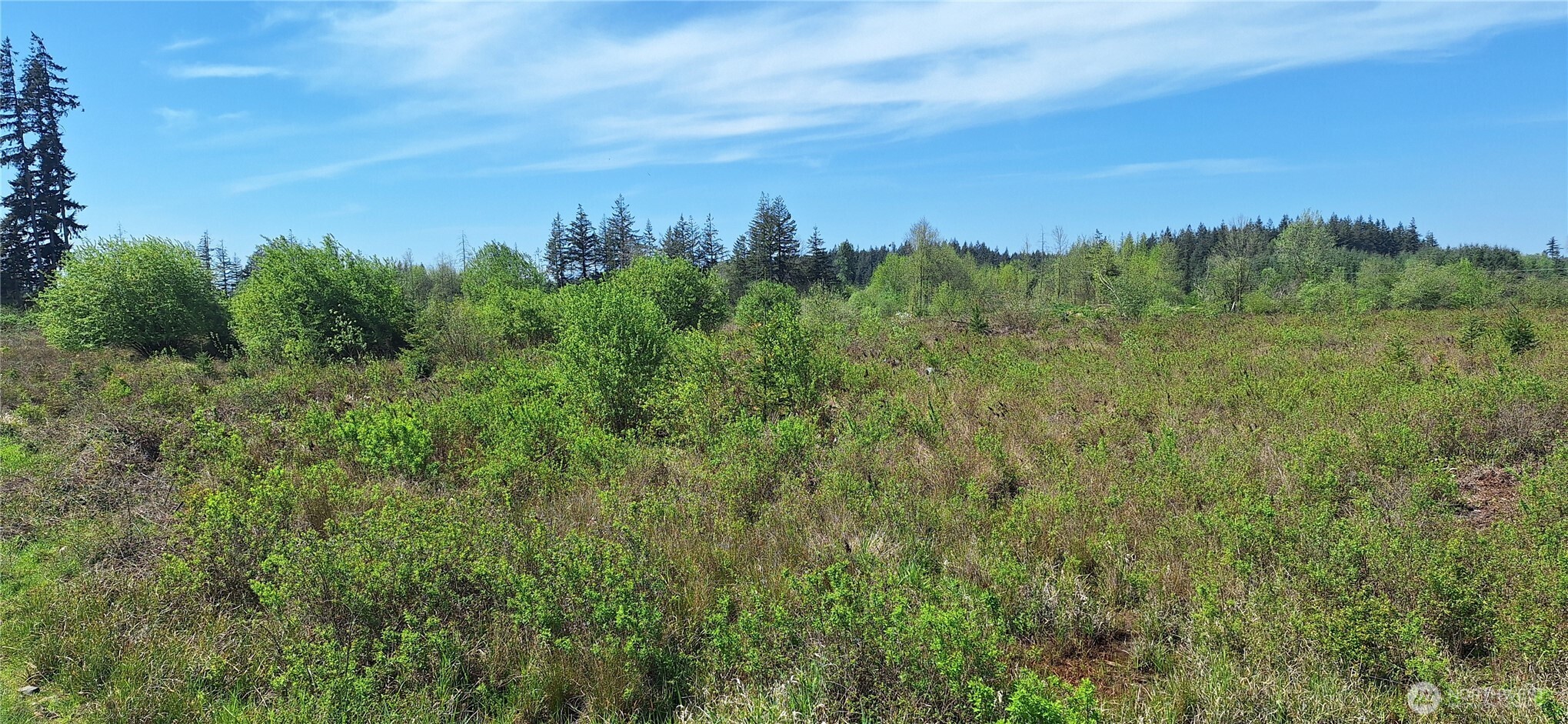 456 Meier Road Winlock, WA 98596 - Photo 9 of 9