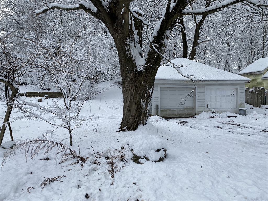 181 St Mary Street Needham, MA 02494 - Photo 3 of 10