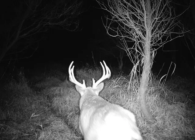 $235,000 | County Road North, Argyle, WI 53504