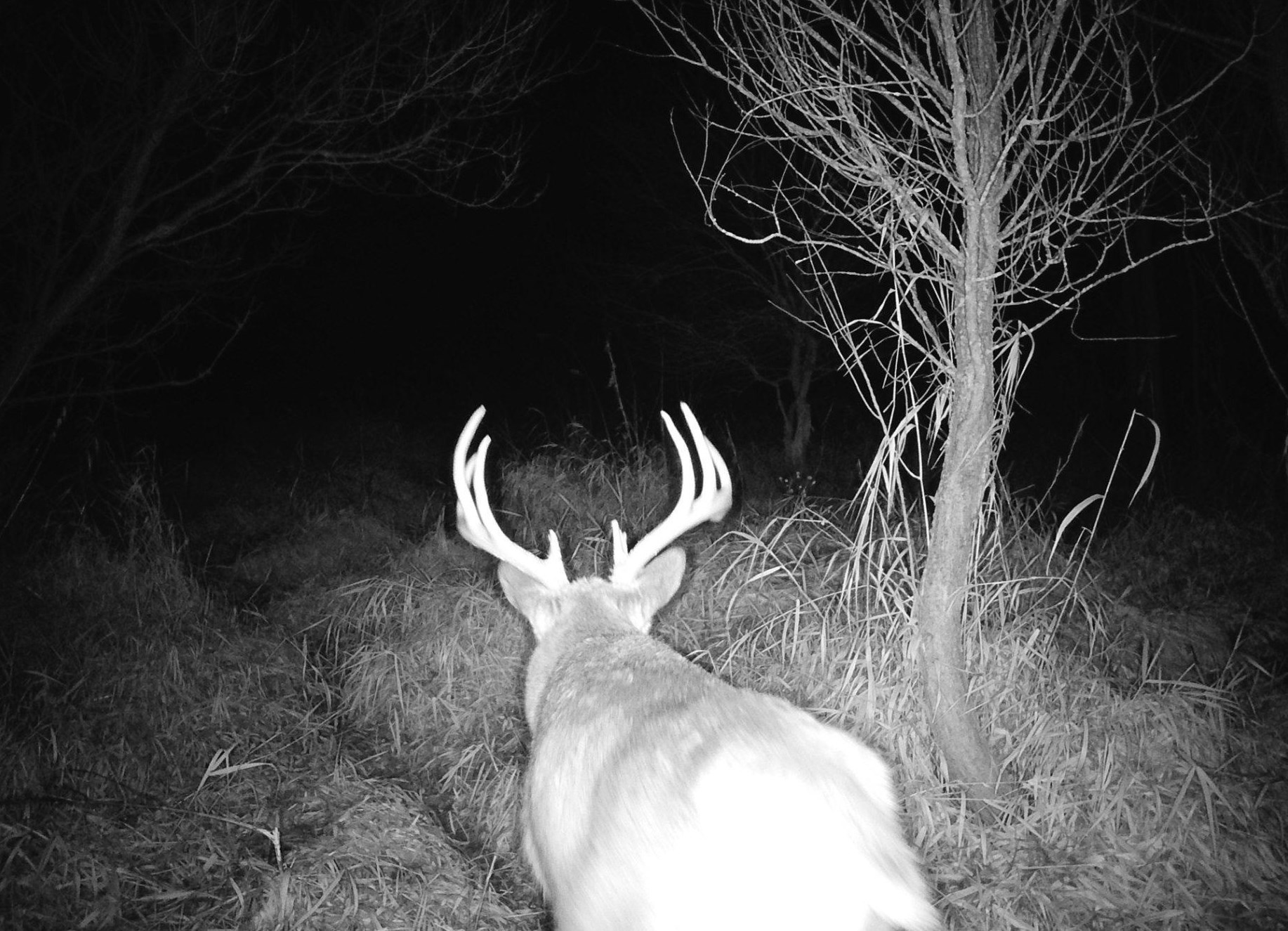 County Road North Argyle, WI 53504 - Photo 16 of 45