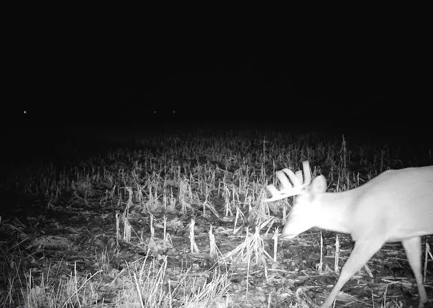 $235,000 | County Road North, Argyle, WI 53504