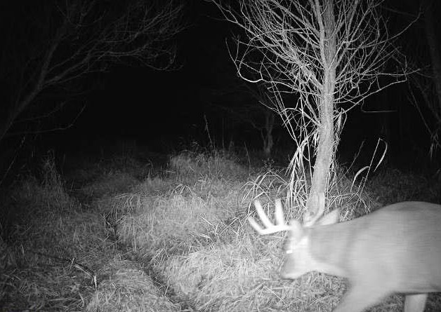 County Road North Argyle, WI 53504 - Photo 18 of 45