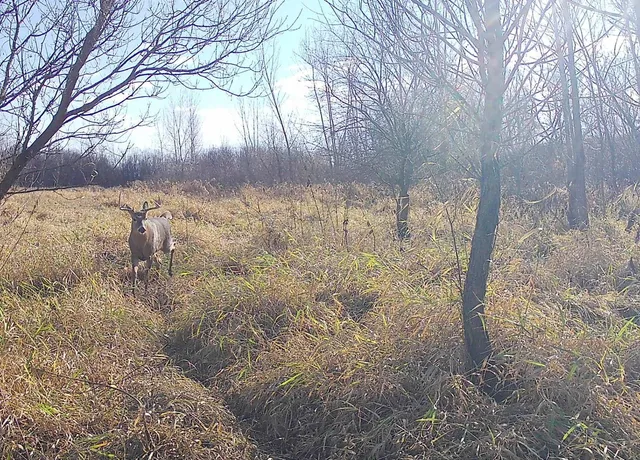 $235,000 | County Road North, Argyle, WI 53504