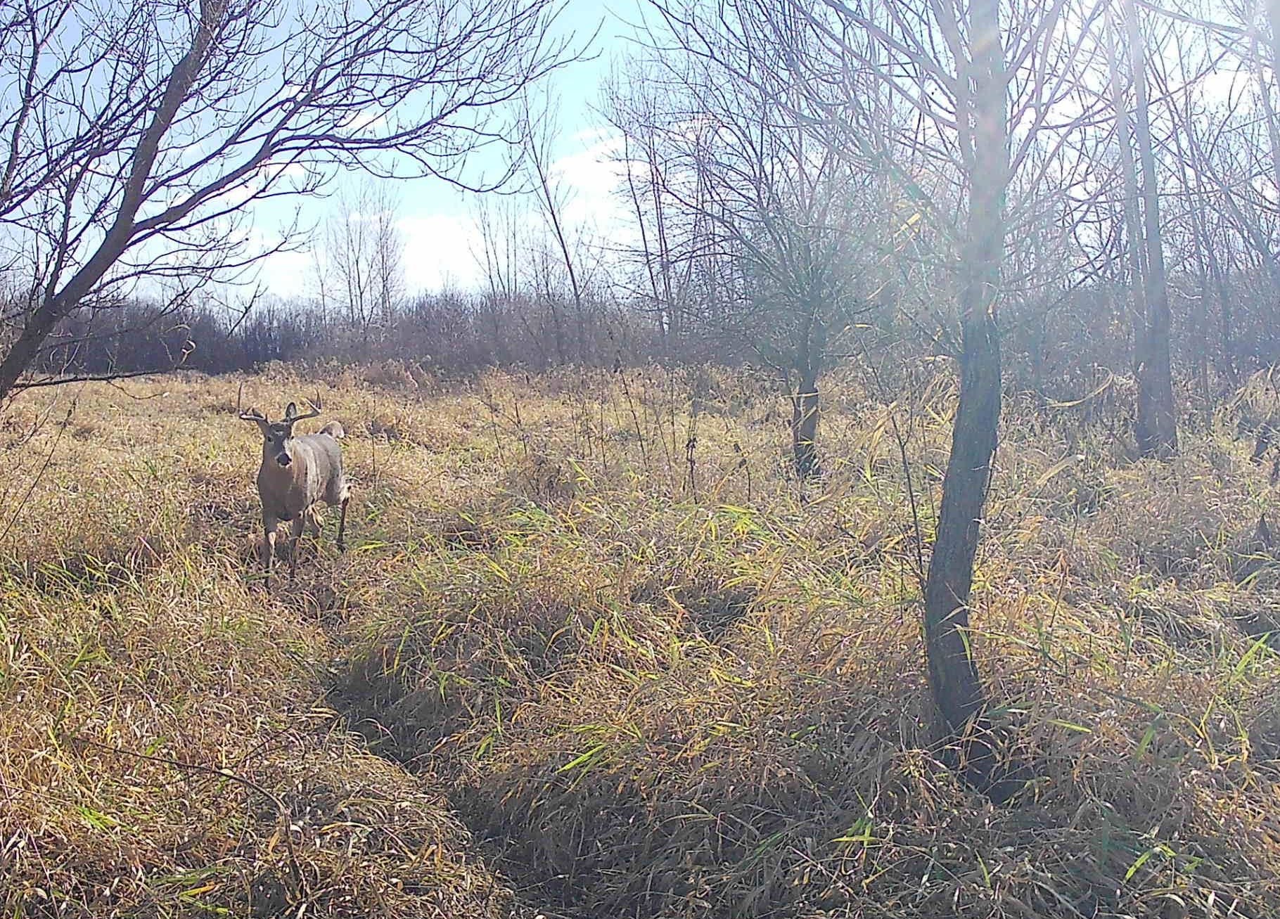 County Road North Argyle, WI 53504 - Photo 19 of 45