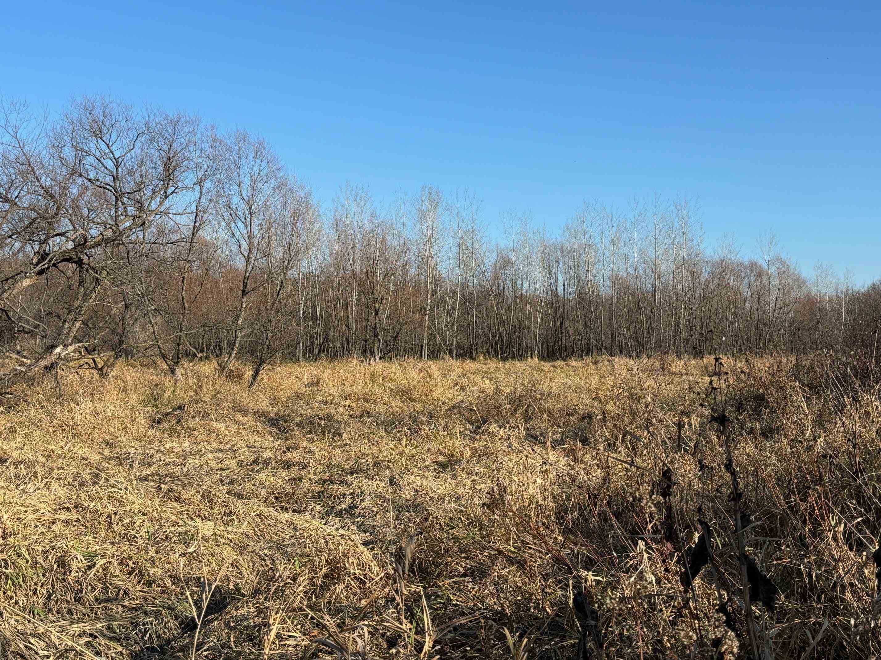 County Road North Argyle, WI 53504 - Photo 21 of 45