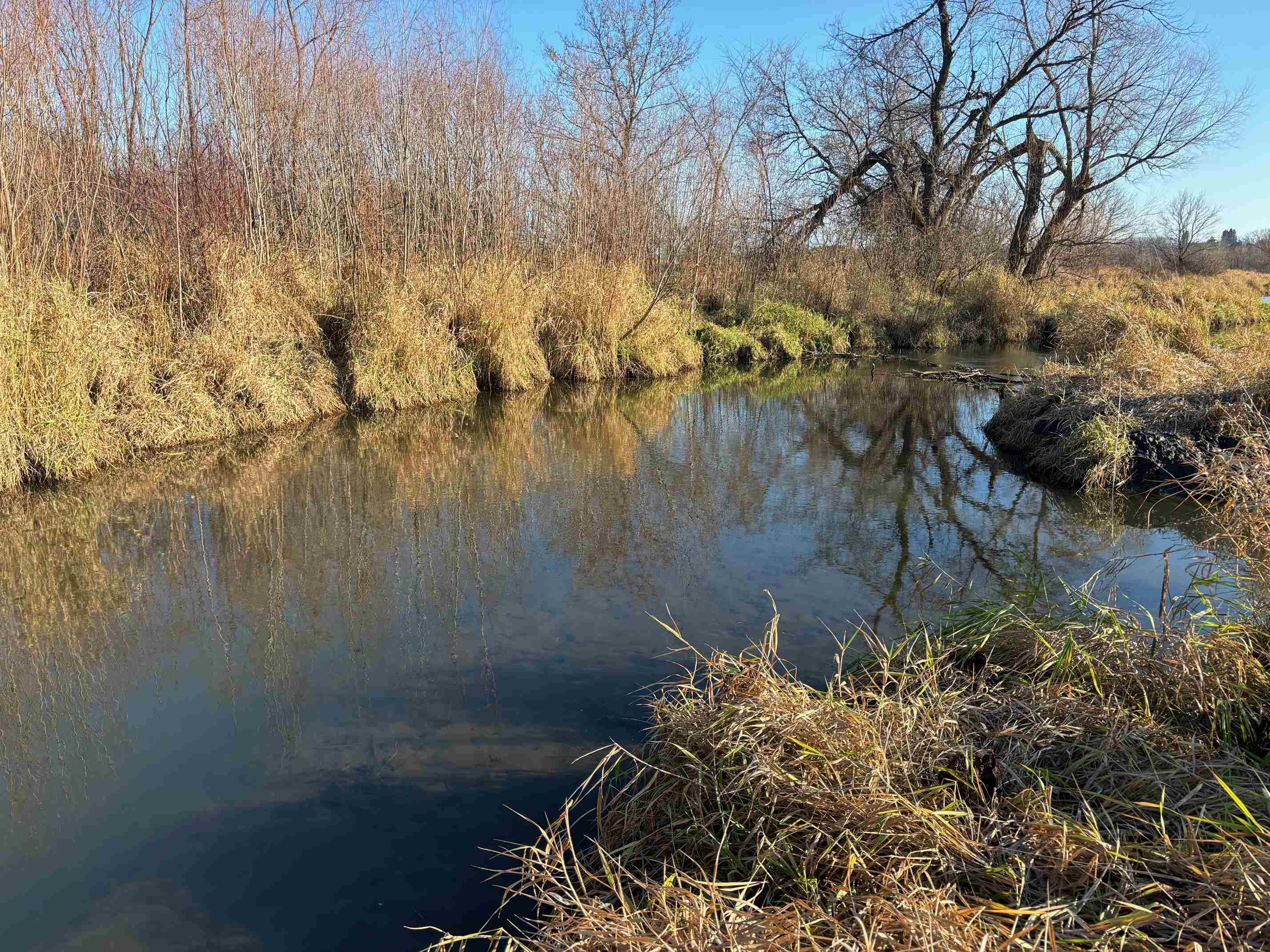 County Road North Argyle, WI 53504 - Photo 22 of 45