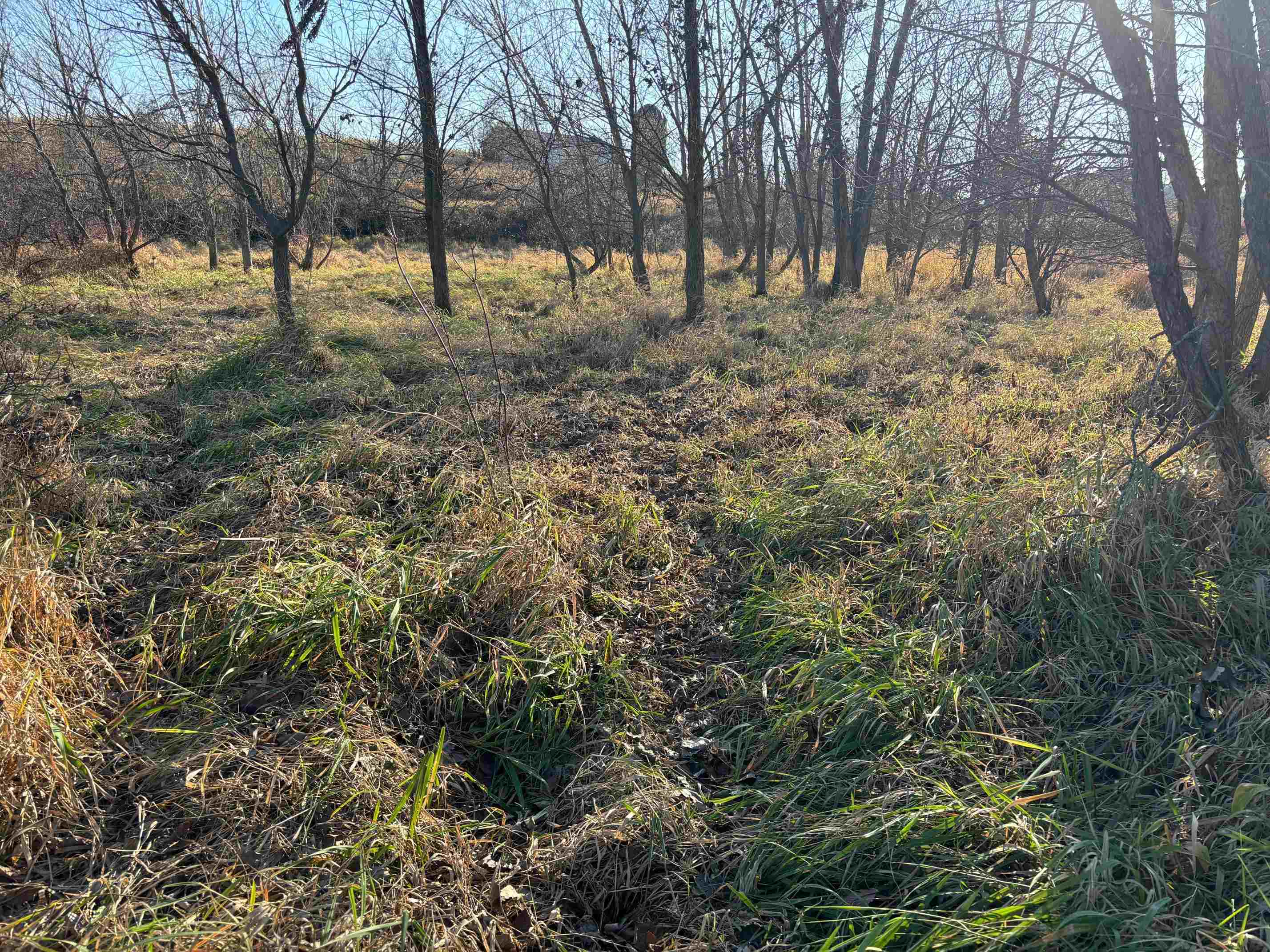 County Road North Argyle, WI 53504 - Photo 23 of 45