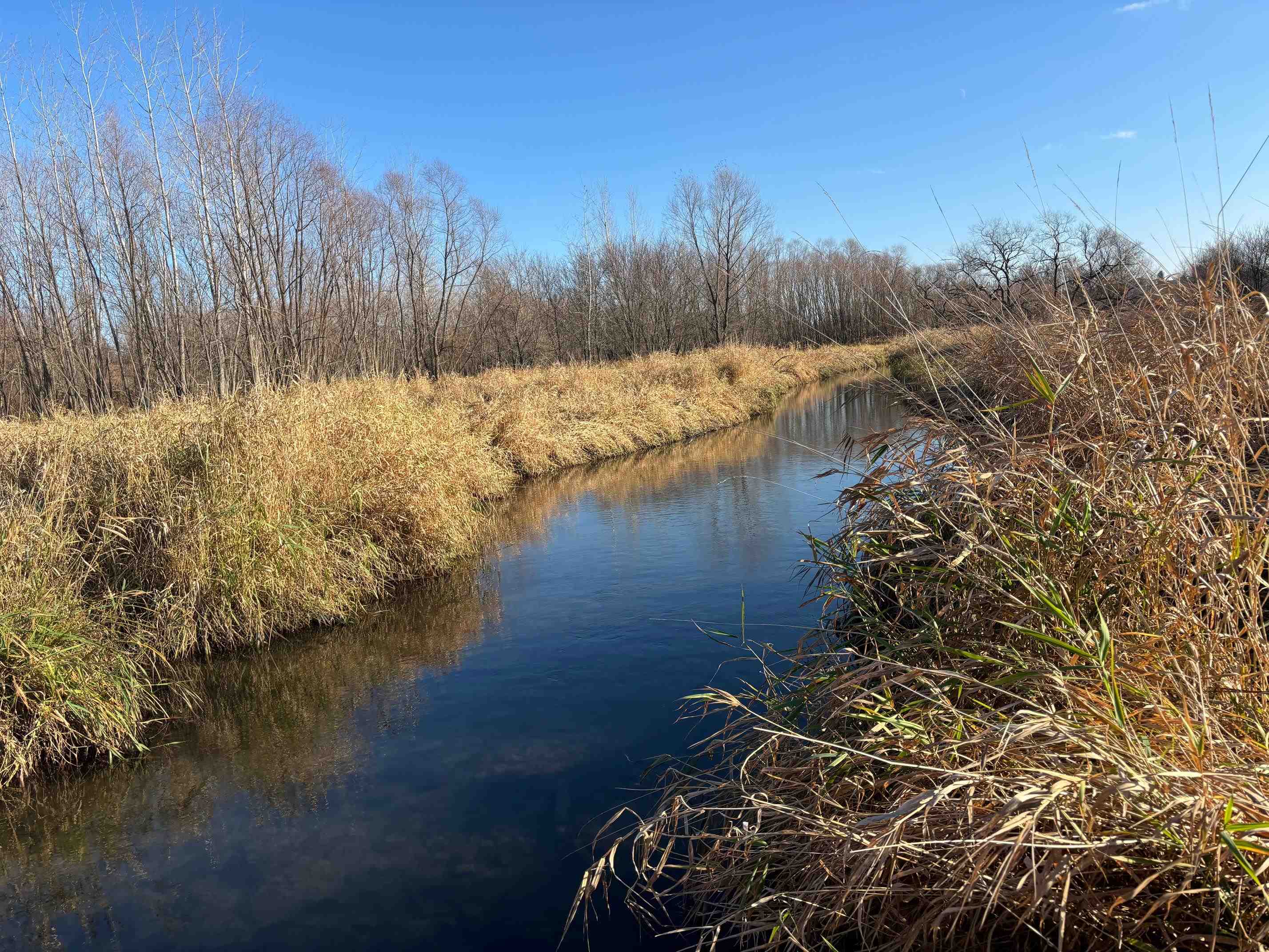 County Road North Argyle, WI 53504 - Photo 24 of 45