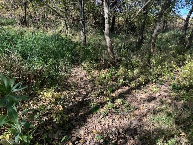 $235,000 | County Road North, Argyle, WI 53504