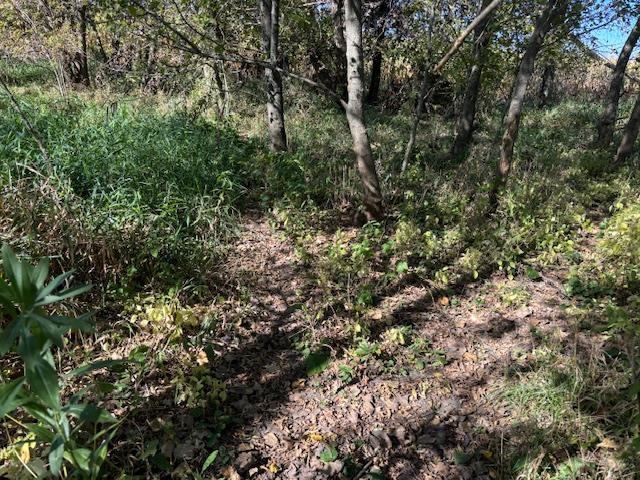 County Road North Argyle, WI 53504 - Photo 29 of 45