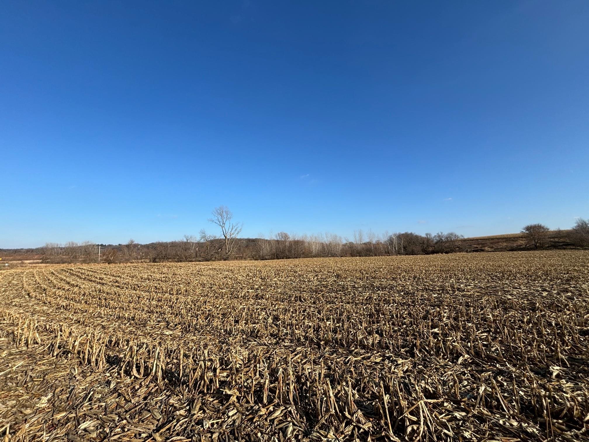 County Road North Argyle, WI 53504 - Photo 30 of 45