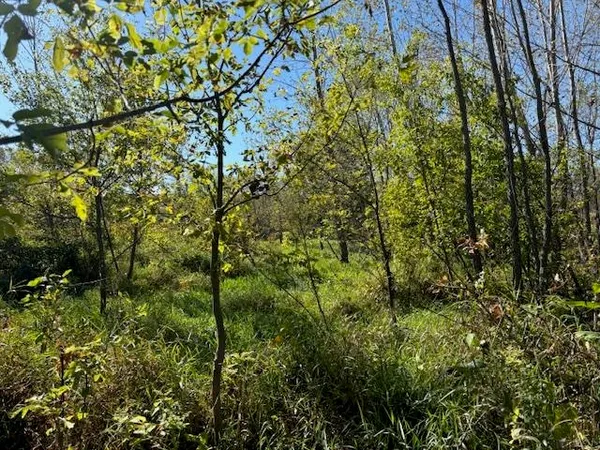 $235,000 | County Road North, Argyle, WI 53504