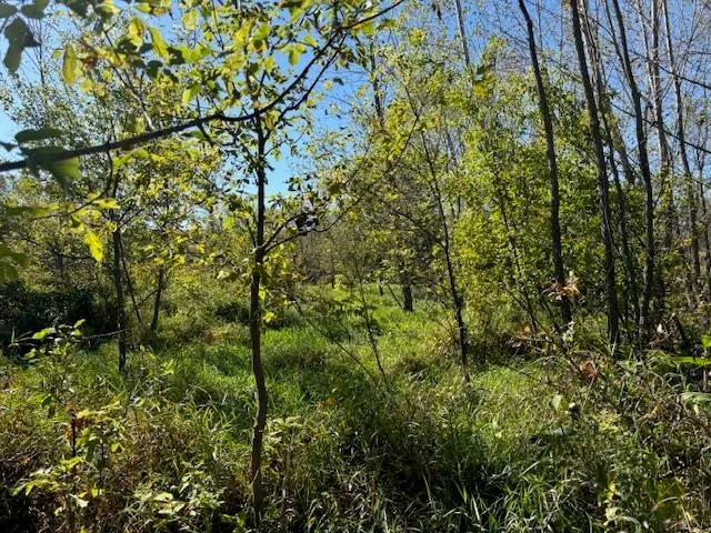 $235,000 | County Road North, Argyle, WI 53504