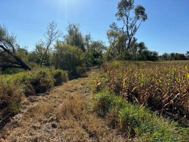 $235,000 | County Road North, Argyle, WI 53504