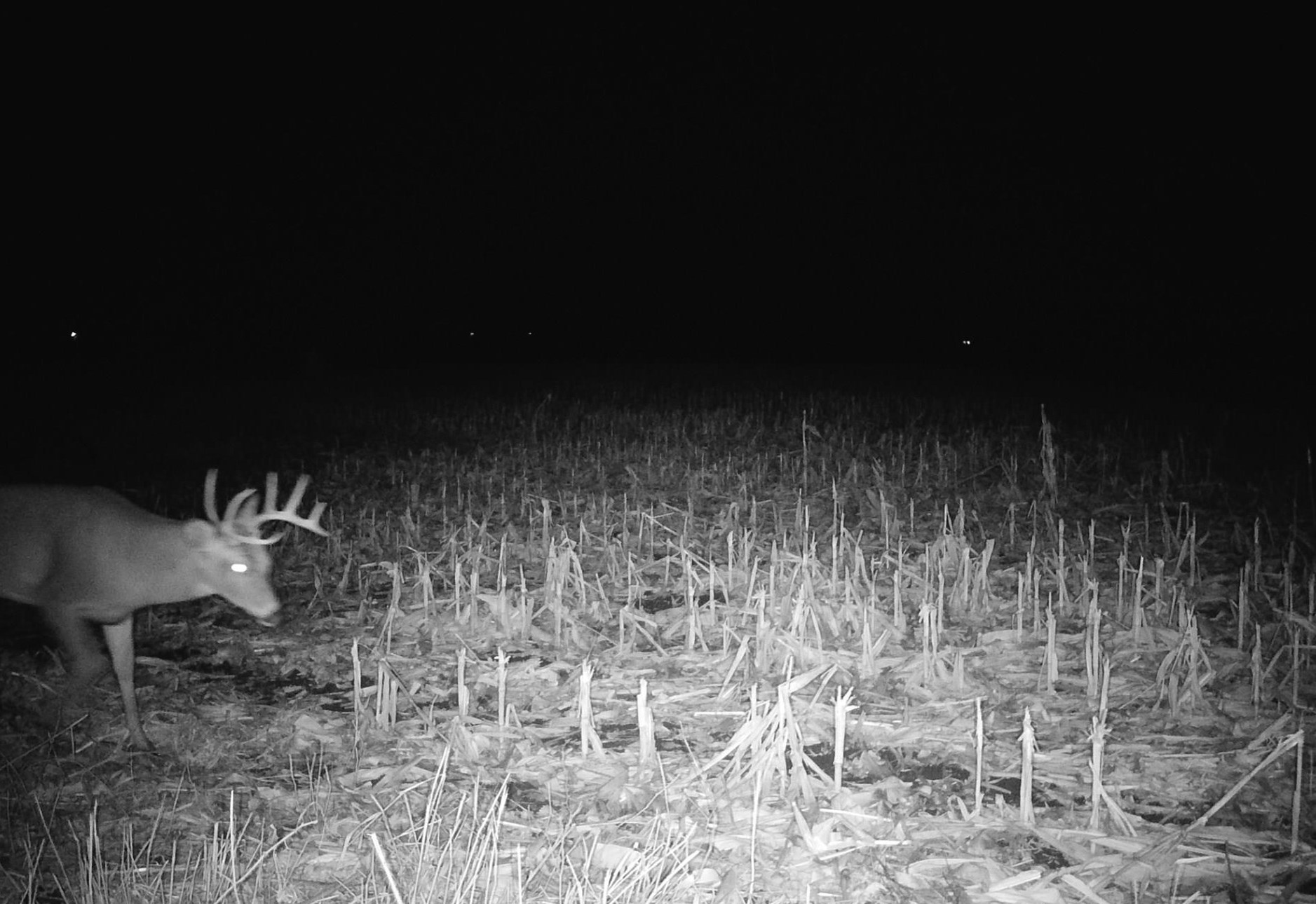 County Road North Argyle, WI 53504 - Photo 42 of 45