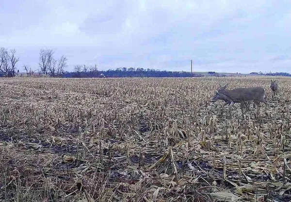$235,000 | County Road North, Argyle, WI 53504