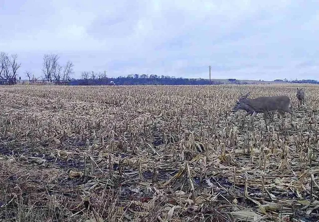 $235,000 | County Road North, Argyle, WI 53504