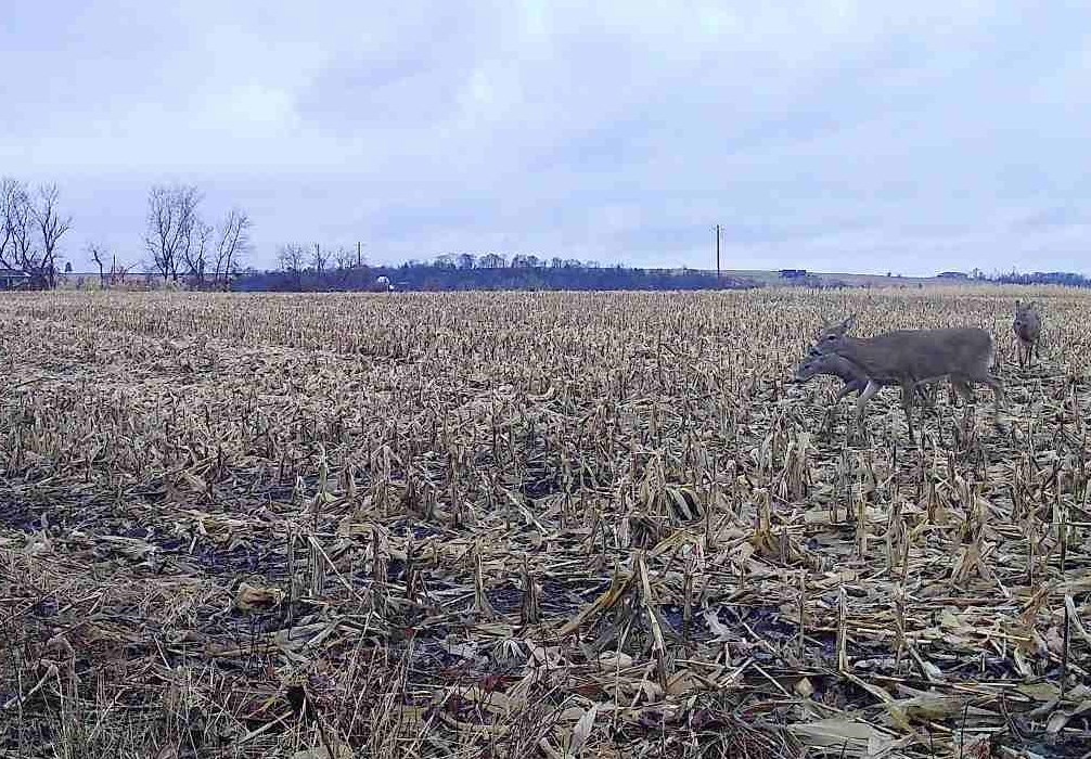 County Road North Argyle, WI 53504 - Photo 43 of 45