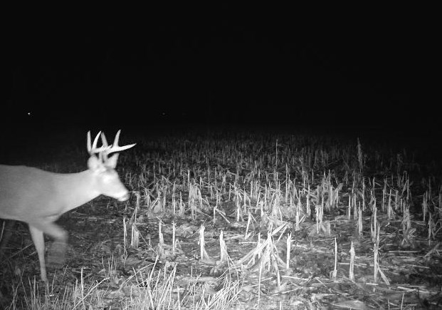 County Road North Argyle, WI 53504 - Photo 44 of 45