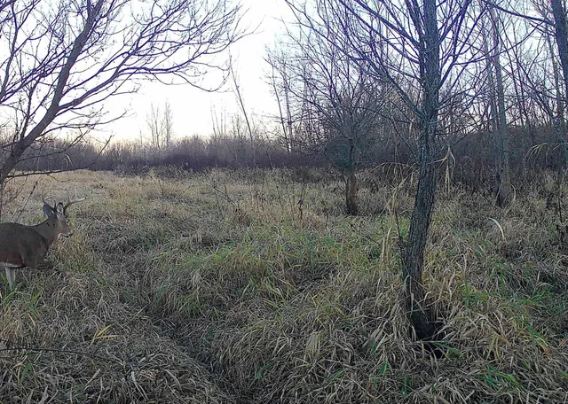 $235,000 | County Road North, Argyle, WI 53504