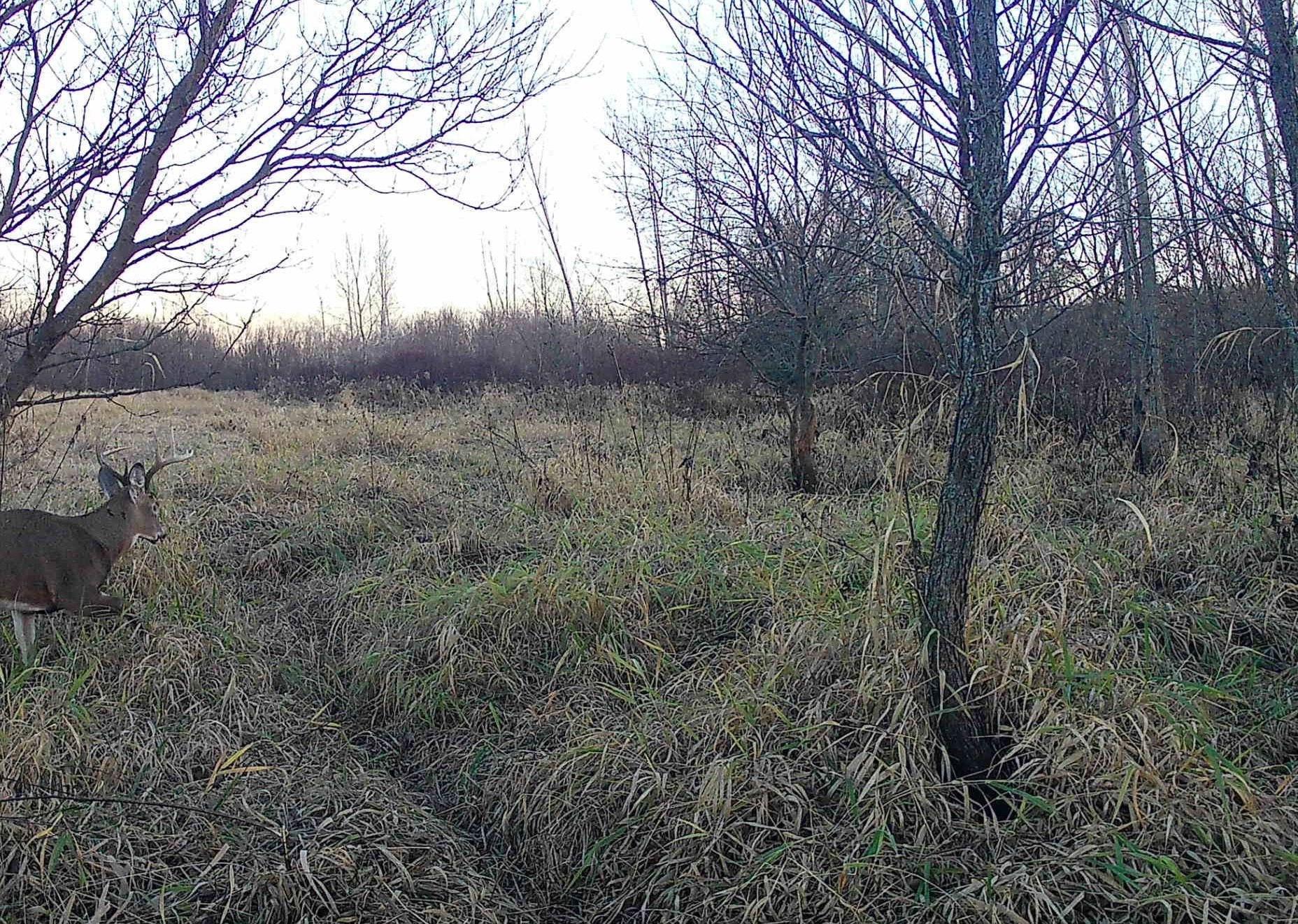 County Road North Argyle, WI 53504 - Photo 45 of 45