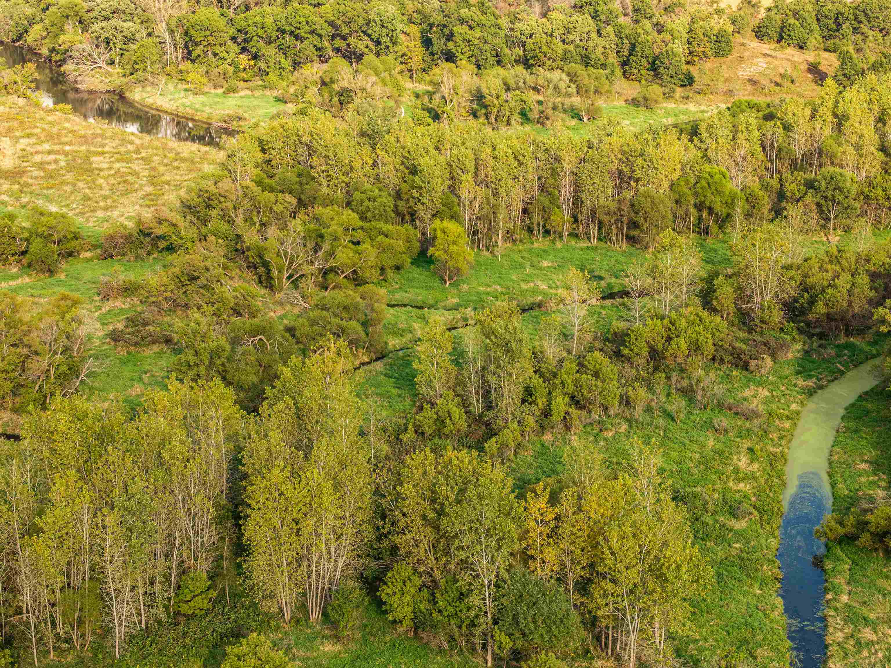 County Road North Argyle, WI 53504 - Photo 6 of 45