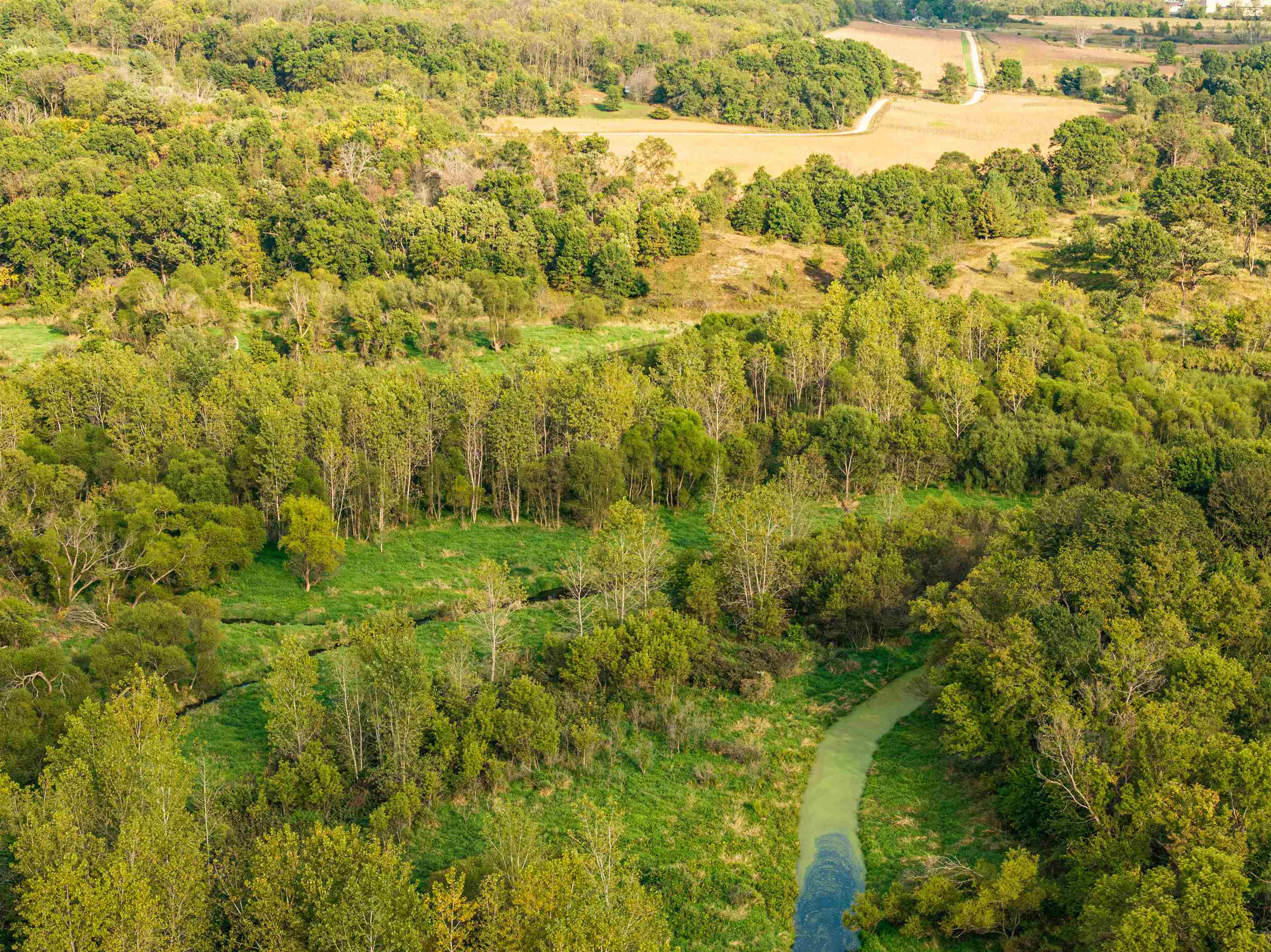 County Road North Argyle, WI 53504 - Photo 7 of 45