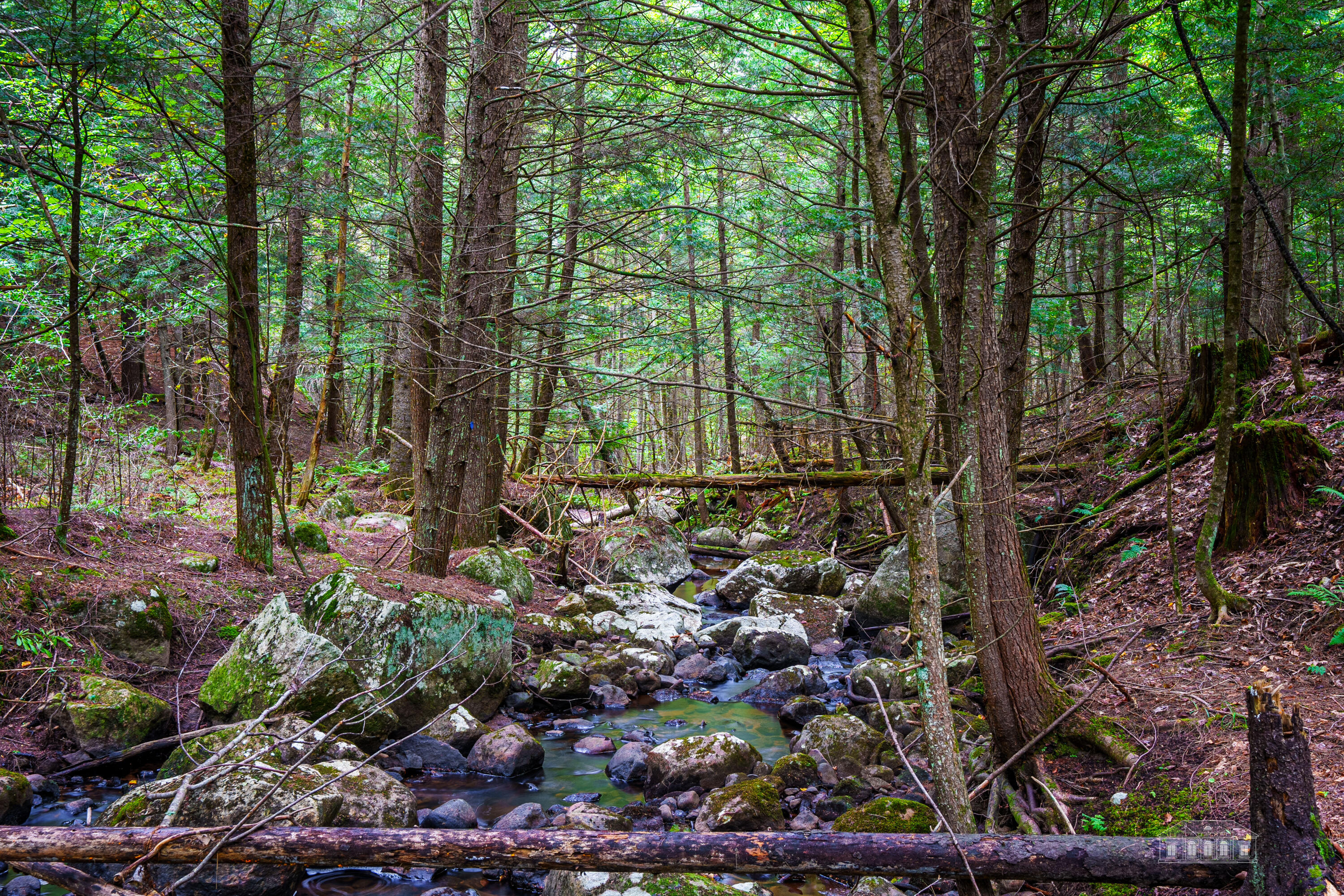 280 Stickney Bridge Road Jay, NY 12941 - Photo 47 of 67 Gallery Image 47